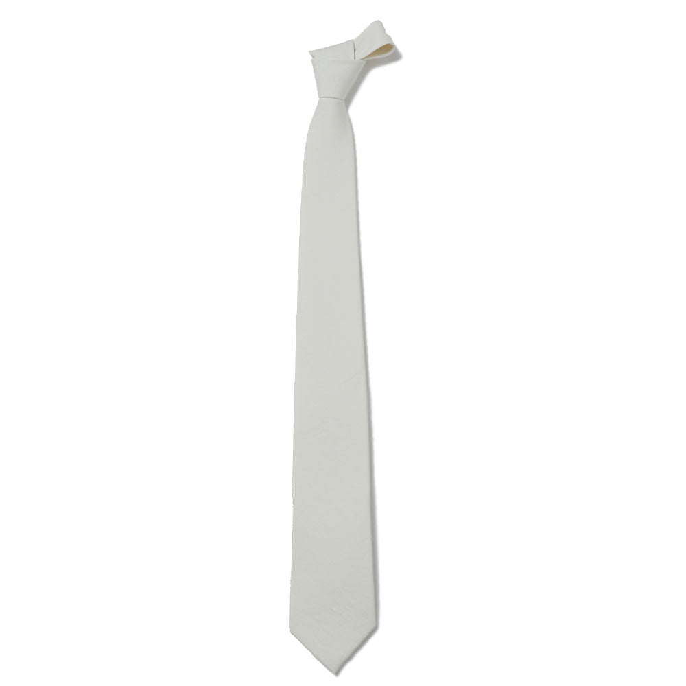 AURALEE) WASHED FINX TWILL TIE (A26ST07TN) | AURALEE