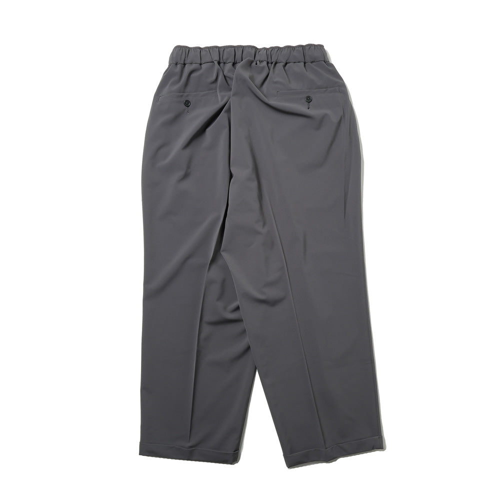 INVERTED PLEATS PANTS