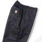 Ester twill denim Carhartt W name P018