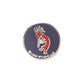 PINS(NAVY)