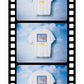 SAINT Mxxxxxx × ダンボ SS T‐SHIRT DUMBO