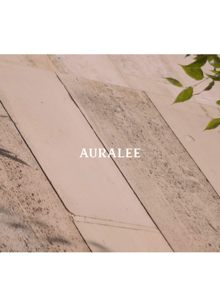 AURALEE (オーラリー) 26SS