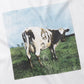 Cotton-filled jersey product print T011