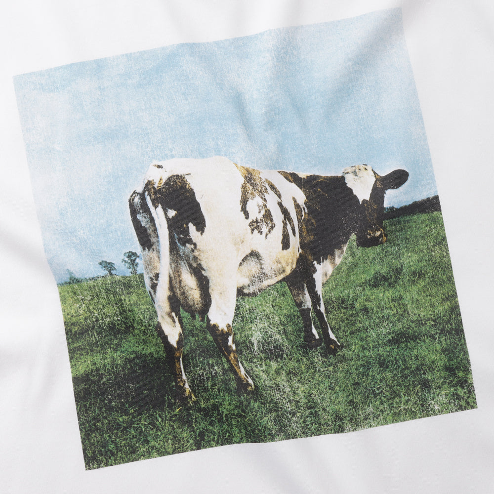 Cotton-filled jersey product print T011