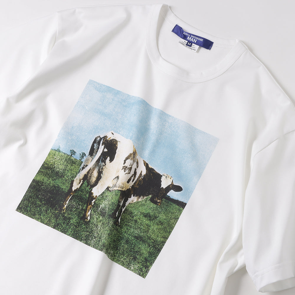 Cotton-filled jersey product print T011