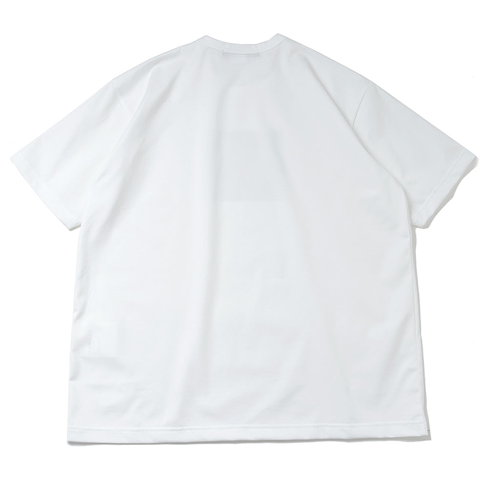 綿度詰め天竺 ANDY WARHOL T015