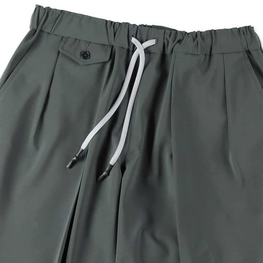 INVERTED PLEATS PANTS
