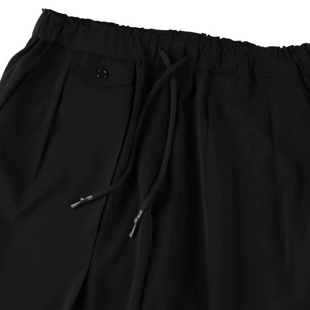 INVERTED PLEATS PANTS
