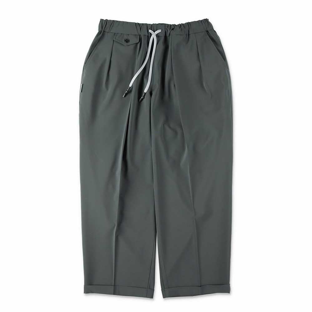 INVERTED PLEATS PANTS