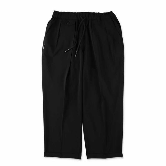 INVERTED PLEATS PANTS