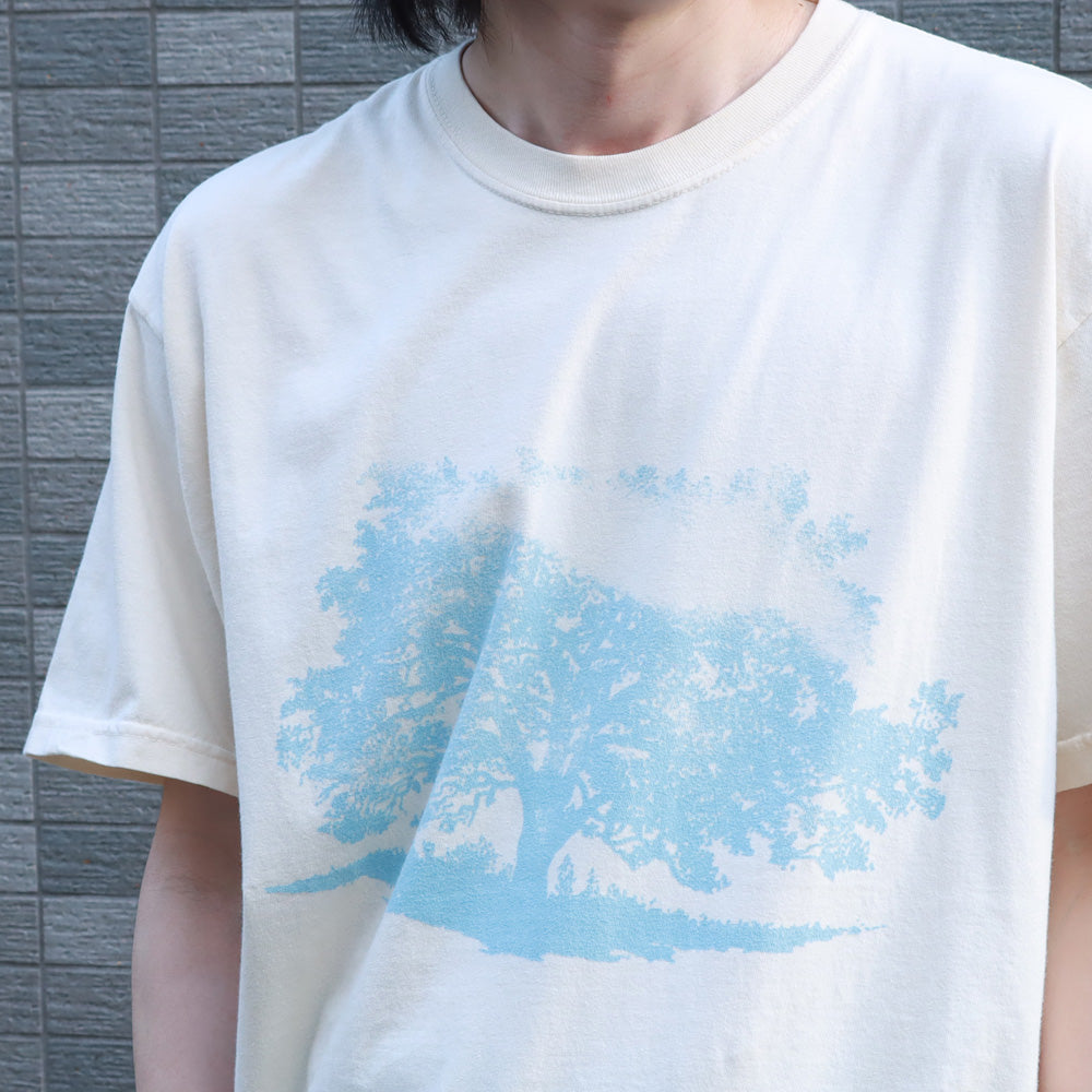 PIGMENT S/S TEE