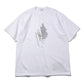 CREW NECK S/S TEE