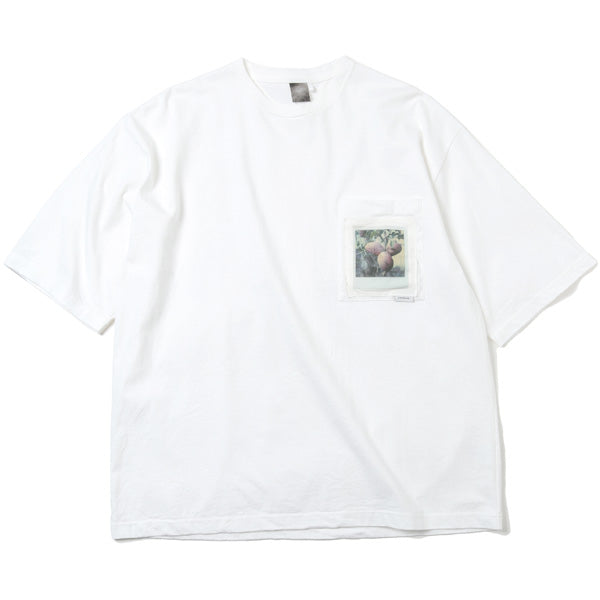 S/S T-SHIRT C