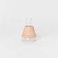 Erlenmeyer flask/100ml