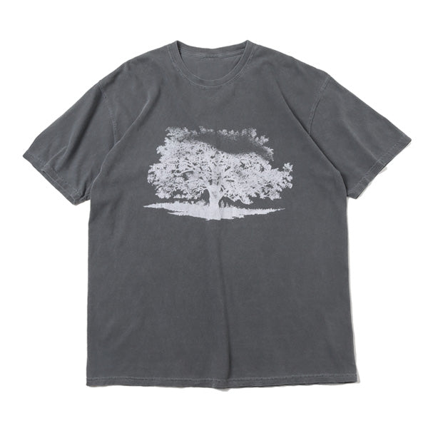 PIGMENT S/S TEE