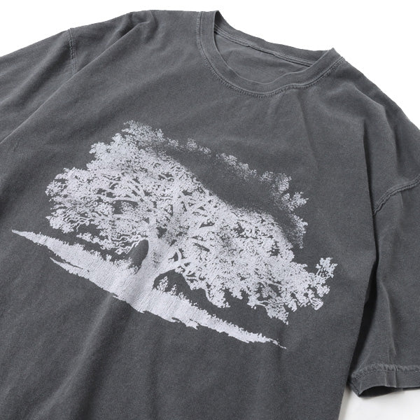 PIGMENT S/S TEE