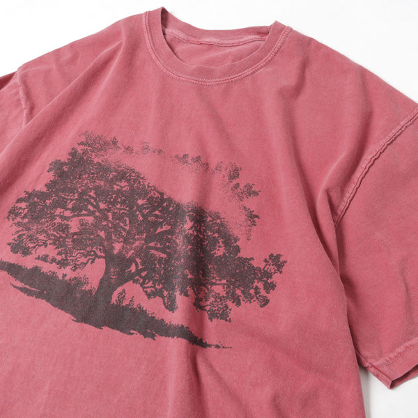 PIGMENT S/S TEE
