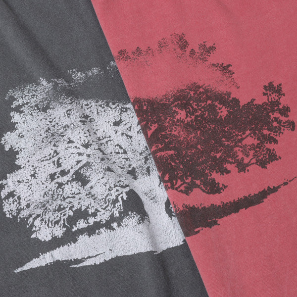 PIGMENT S/S TEE