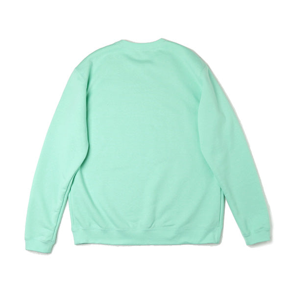 PALE GREEN SWEATSHIRT