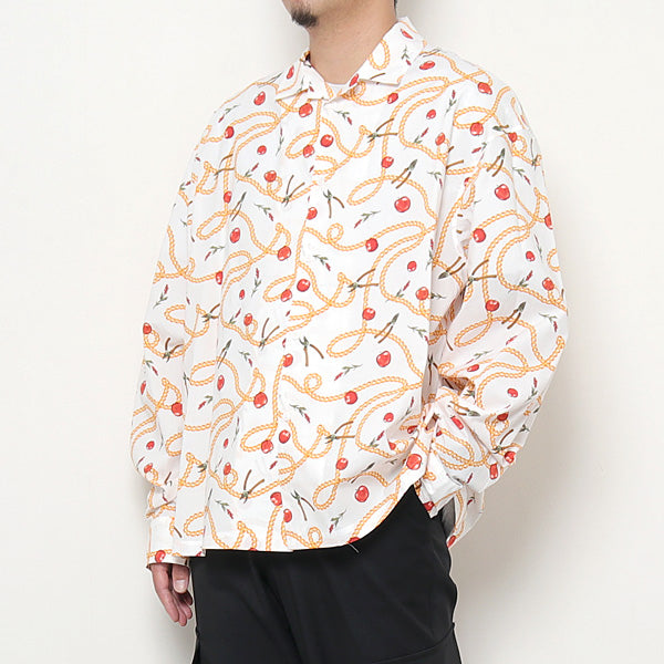 Open Collar Shirt 1 (Hermes)