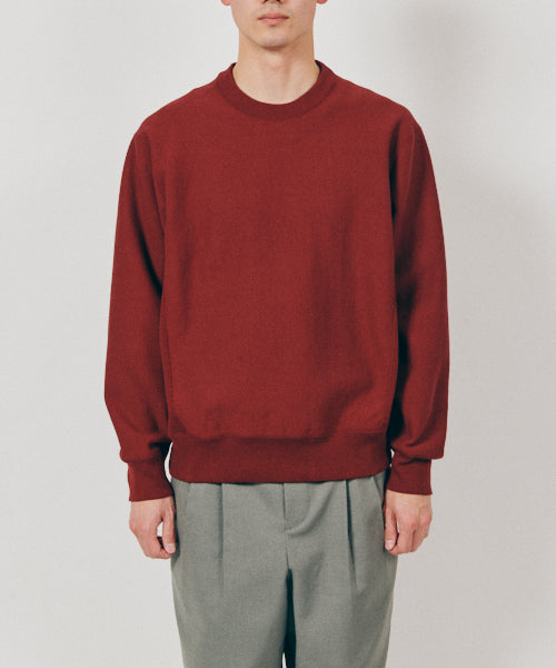 Reverse weave Sweatshirt