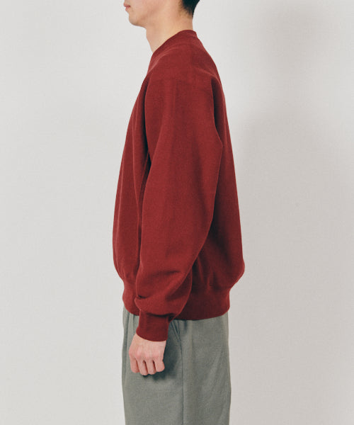 Reverse weave Sweatshirt