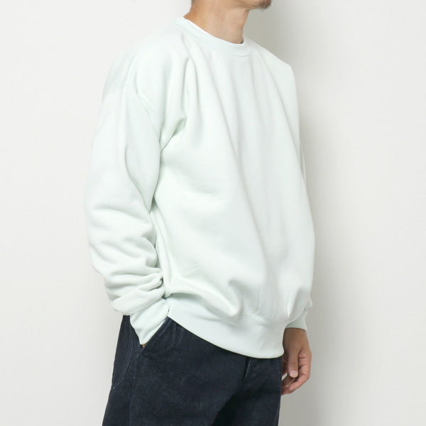 BAGGY POLYESTER SWEAT P/O (A9AP03PU) | AURALEE / カットソー (MEN
