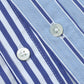 CORPORATE BLUE STRIPE REGULAR COLLAR SHIRT