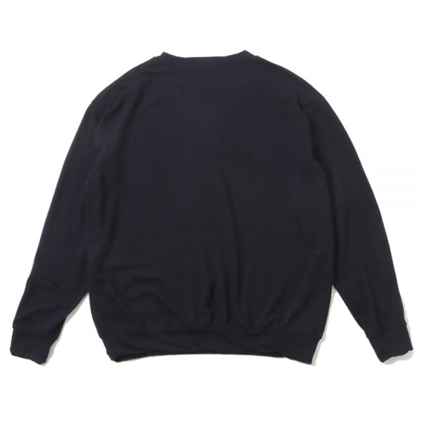 ウール天竺 長袖クルー (W03-05015) | COMOLI / トップス (MEN