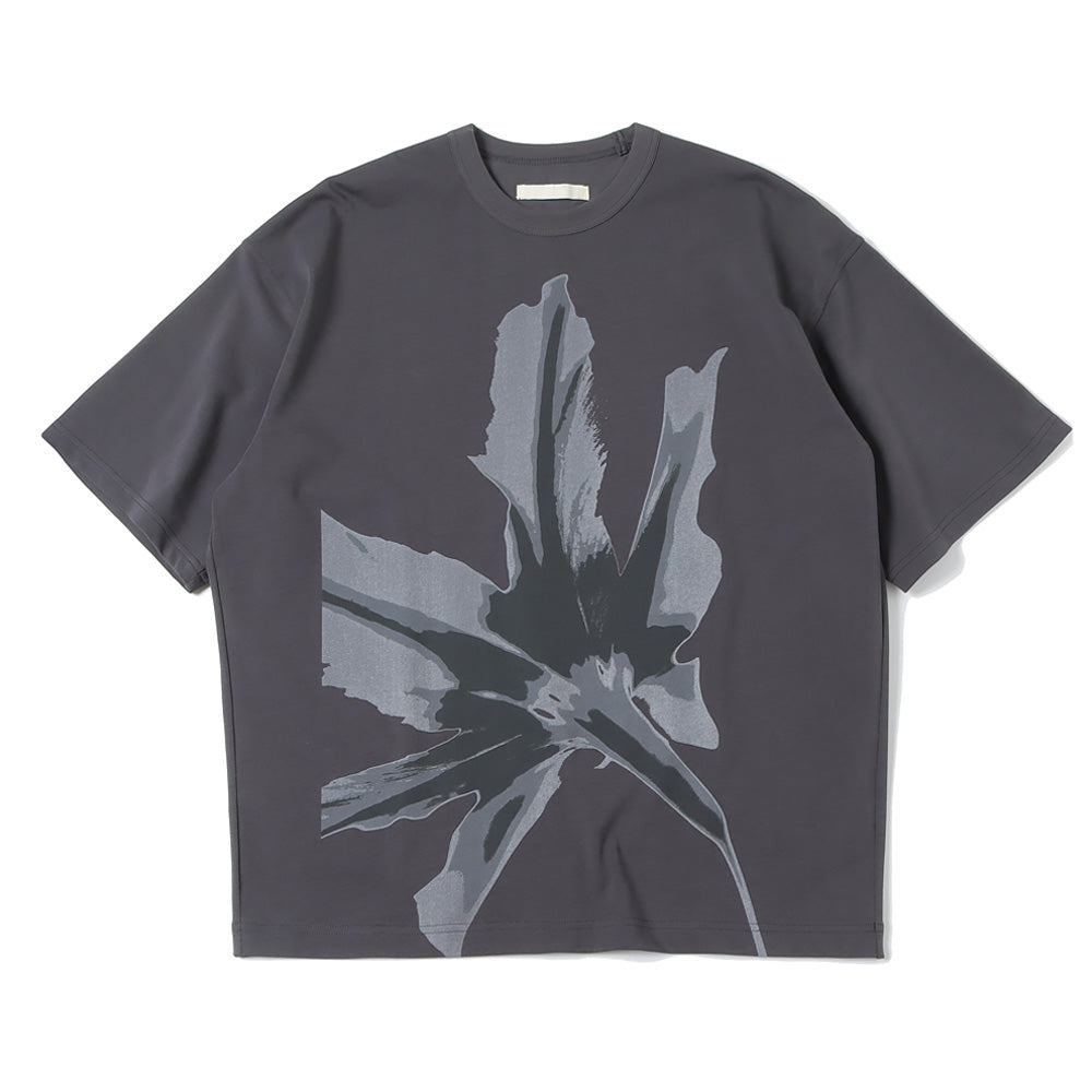 TRAPEZ H/S TEE FLO