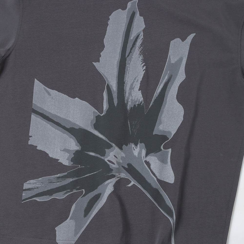 TRAPEZ H/S TEE FLO